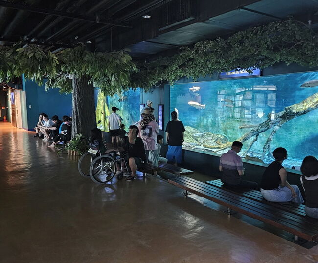 2025년 민물고기생태체험관 어린이날 기념 특별전시