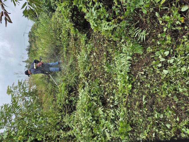 추석 앞두고 조상 묘 벌초, 전통 이어가야